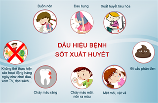 TP.HCM đã có 9 người tử vong do sốt xuất huyết